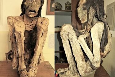 Apuñalado por la espalda: científicos descubren signos de extrema violencia en momias de Arica
