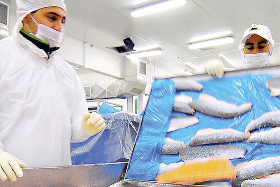 salmoneras