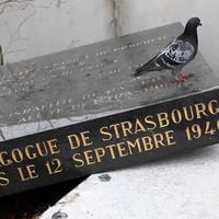 Ataque antisemita | Vandalizan memorial de sinagoga vieja de Estrasburgo