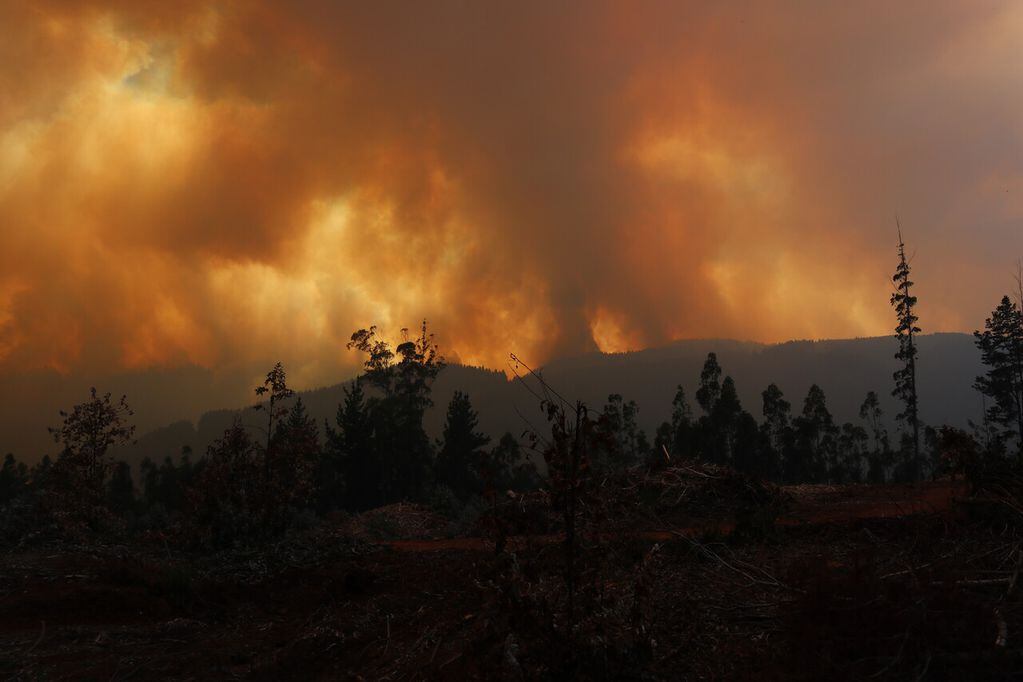 Imágenes de las consecuencias de los incendios forestales