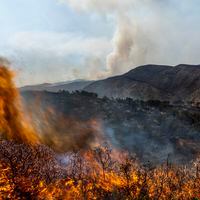 “Una carrera contra el tiempo”: Estudio revela que incendios forestales debilitan la capa de ozono