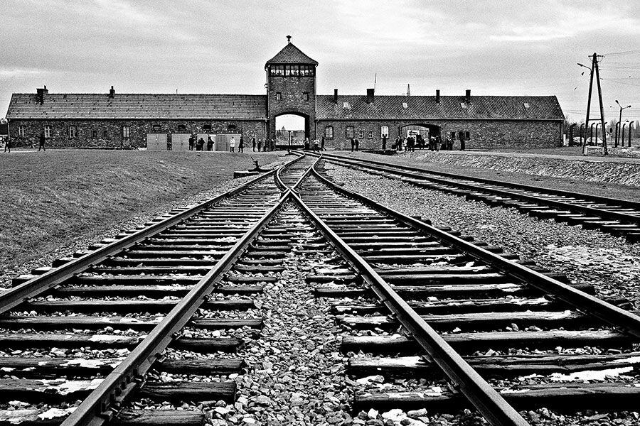 Auschwitz-_WEB