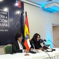 Comité de Frontera  Chile-Bolivia avanza en restitución de vehículos robados y controles fronterizos