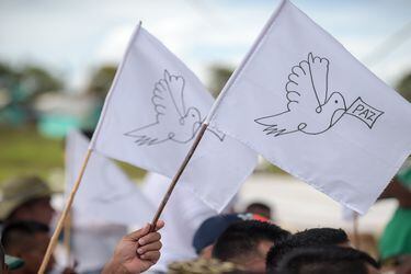 FARC rebels wave peace flags during the final act of abandonment of a