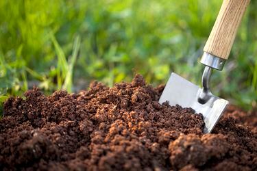 Soil with a garden trowel