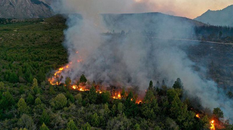 Incendio en la Patagonia argentina amenaza a comunidad mapuche - La Tercera