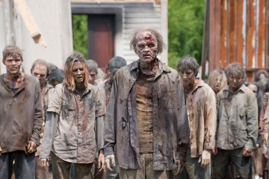 the walking dead