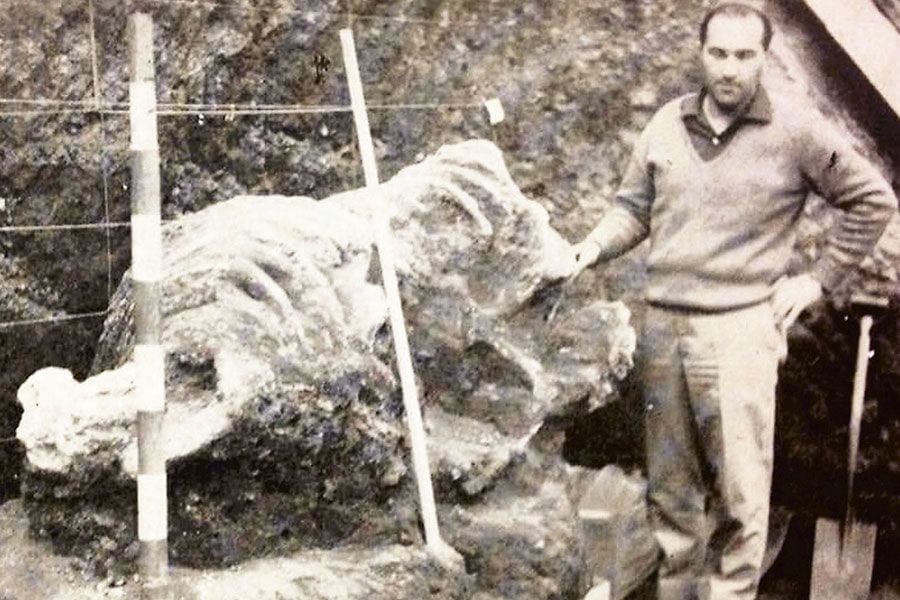Imagen de un trabajador junto a los restos del scelidodon que fue hallado en 1966.