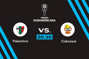 Palestino vs. Cobresal, Copa Sudamericana