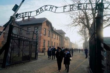 Testimonios e historias: los libros a 75 años de la liberación de Auschwitz