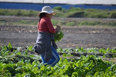 Foto Mujer Agricultora