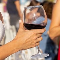 ¿Personas que beben más alcohol generan más tolerancia al licor con el tiempo? Esto dice un estudio