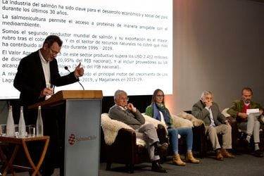 Raphael Bergoeing lanza estudio sobre aporte de la industria salmonera al crecimiento económico del sur de Chile