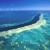 Australia invertirá 500 millones de dólares para salvar la Gran Barrera de Coral