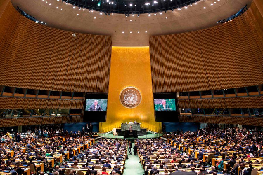 Asamblea General de la ONU