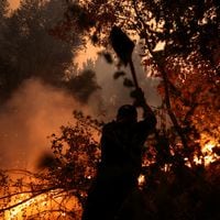 El desafío de los incendios forestales
