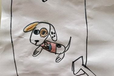 Buscando a Cuchi: con un dibujo hecho a mano, una niña en Talcahuano busca a su perrito de peluche