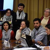 ¿Quién fue? La declaración del grupo de parlamentarios pro Palestina que molestó a algunos de sus integrantes por inconsulta