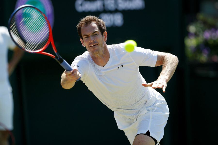 andy murray