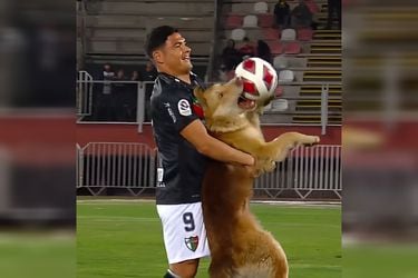 Maximilano Salas retira a un perro juguetón en el estadio La Granja de Curicó.