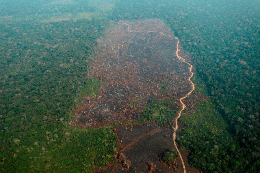 Incendio en el Amazonas