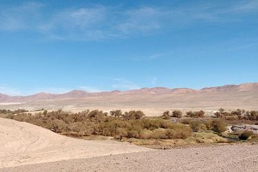 Minas fósiles: los misterios de las llanuras áridas del desierto de Atacama 