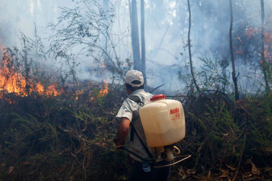 incendio-forestal