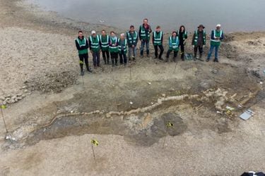 Un dragón marino de 10 metros: descubren un impresionante fósil en una laguna