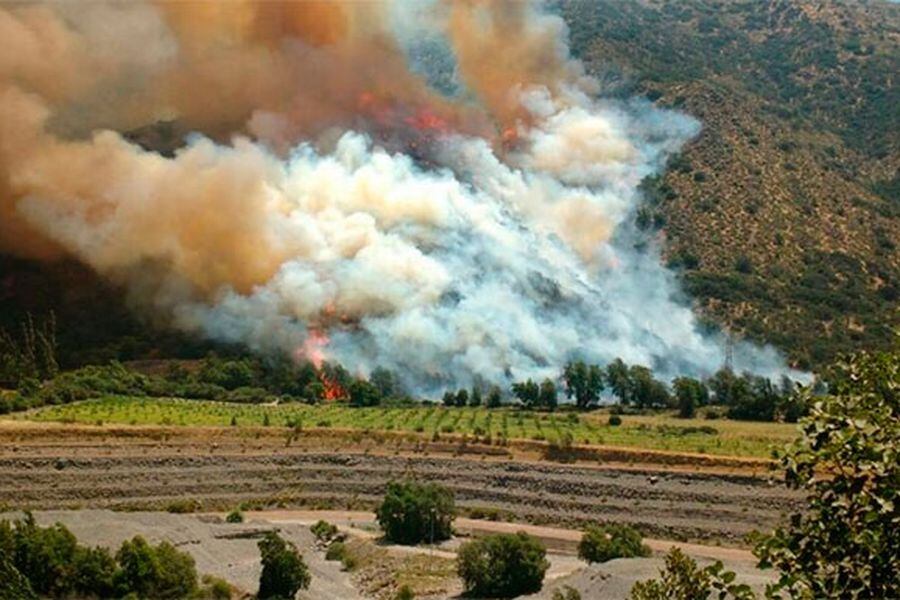 Declaran Alerta Roja para San José de Maipo por incendio forestal La