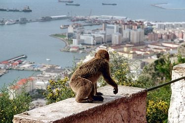 The-apes'-rock-in-Gibraltar-WEB
