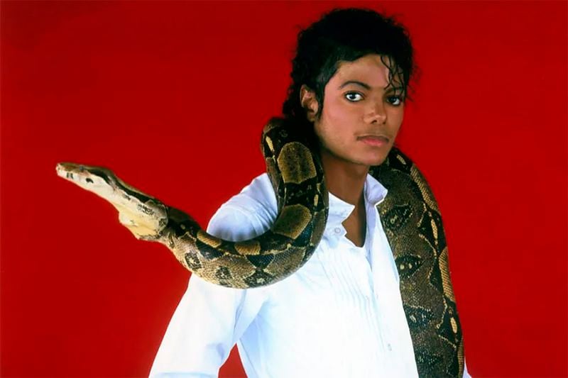Michael Jackson Crusher Thriller