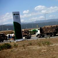 Qué dice el mercado tras el cierre de la planta de Arauco en Licantén y el impacto del cambio climático