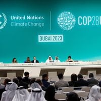 La cumbre más difícil: el traspié en la COP28 por la eliminación de combustibles fósiles 
