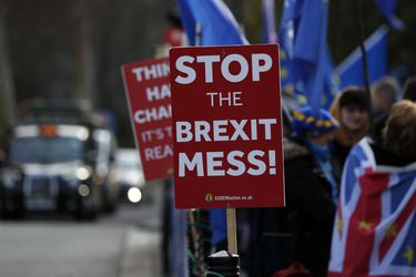 Pro-European demonstrators protest outside parliament in London