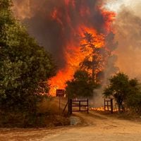 Bienes Nacionales entrega oficio al CDE para que presente acciones por incendio en Lago Peñuelas