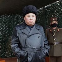 ¿Kim Jong Un en coma?