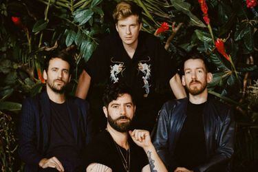 FOALS (1)