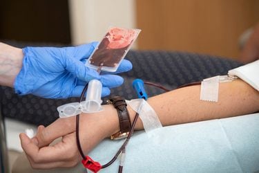 ¿Podría prolongar mi vida haciéndome una transfusión de sangre de alguien más joven?