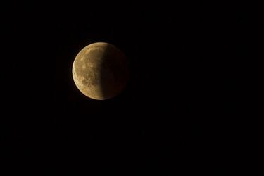 lunar-eclipse-3568836_1280