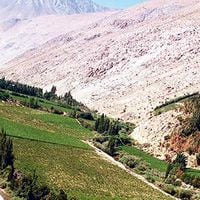 El Valle de Elqui  "desafía" a San Pedro de Atacama como destino turístico