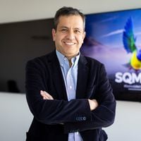 Colocolino y maipucino: El candidato número 1 para liderar la empresa que creará la alianza SQM-Codelco