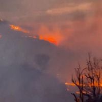 Reportan múltiples incendios forestales en el estado de Texas