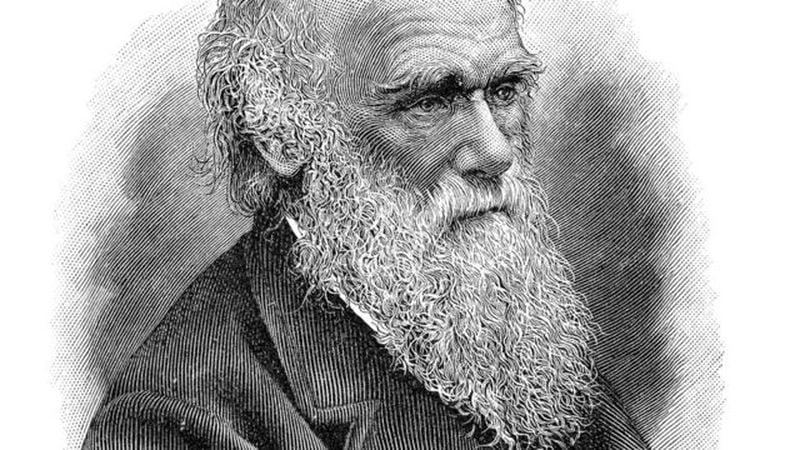 Ilustración de Charles Darwin. Créditos imagen: GettyImages
