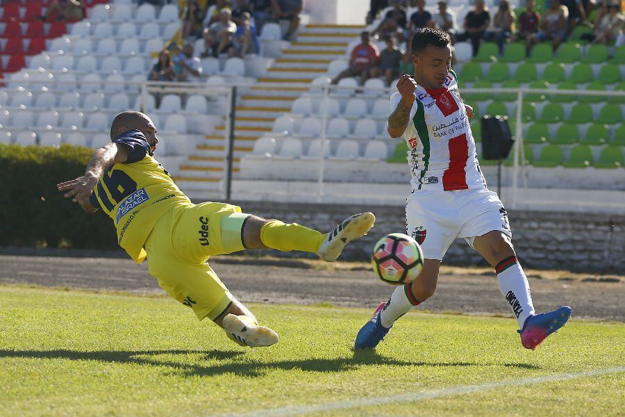 U DE CONCE PALESTINO