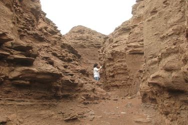 Microbioma oscuro: El hallazgo de un chileno que cambiará la forma de buscar vida en Marte