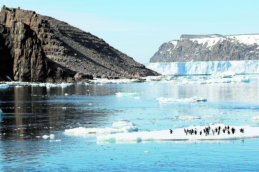 ANTARTICA-ENVIRONMENT-PENGUIN