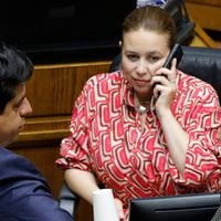 ¿Pedro Araya o Ximena Órdenes?: votaciones en bancada PPD no logran romper empate para definir a sucesor de Coloma en el Senado