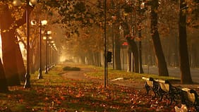 Guía práctica: cómo capturar los colores del otoño en una foto