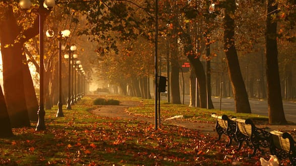 Guía práctica: cómo capturar los colores del otoño en una foto