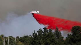 Incendios forestales: dos viviendas siniestradas en Maule, y más de 1.100 hectáreas afectadas